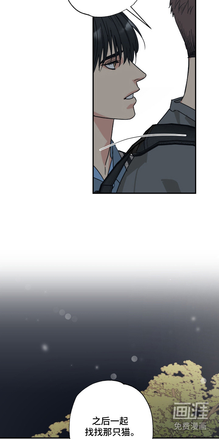 猫大爷和我漫画-图9