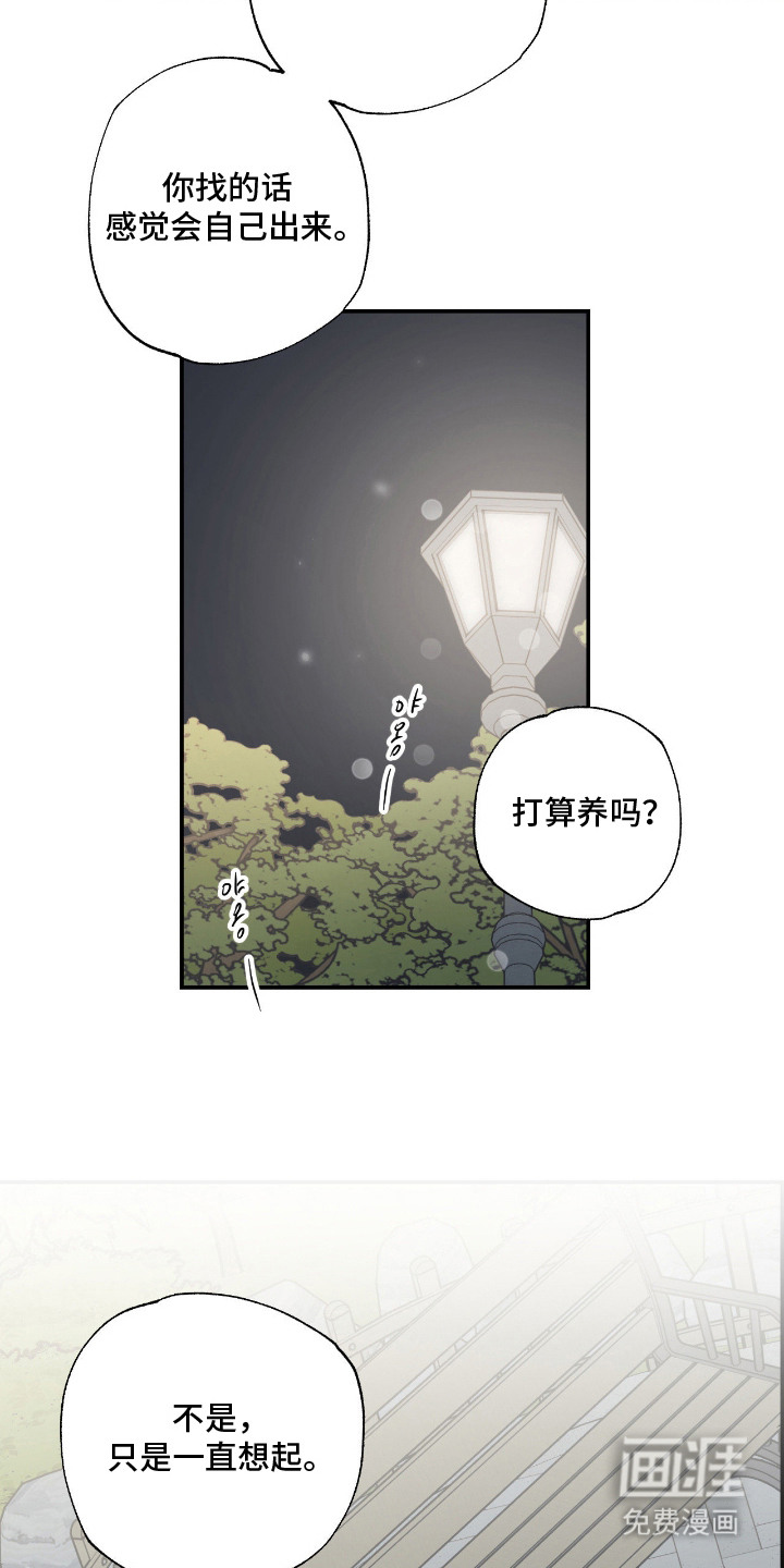 猫大爷和我漫画-图10