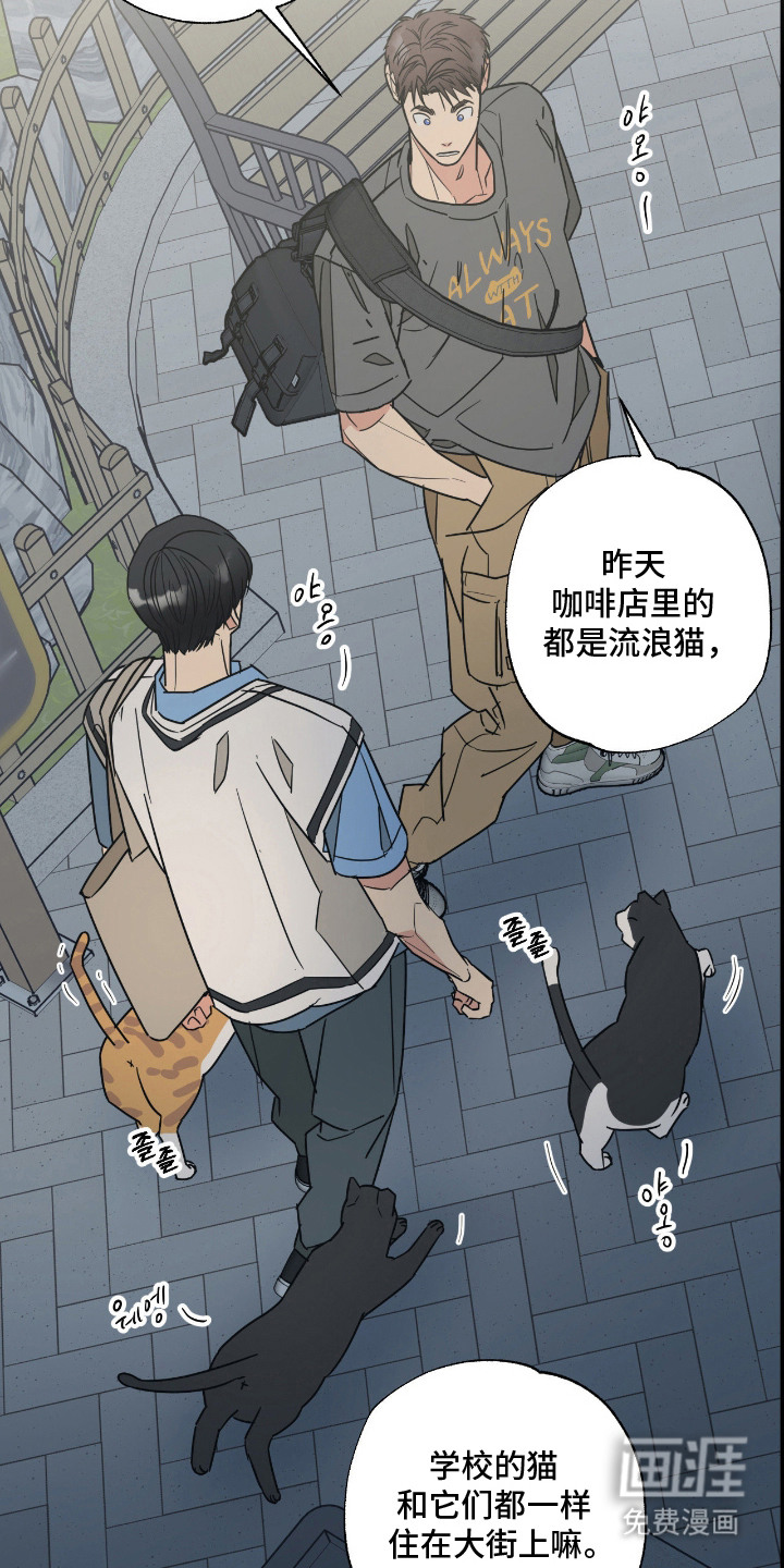 猫大爷和我漫画-图11