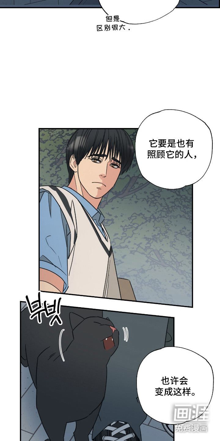 猫大爷和我漫画-图12