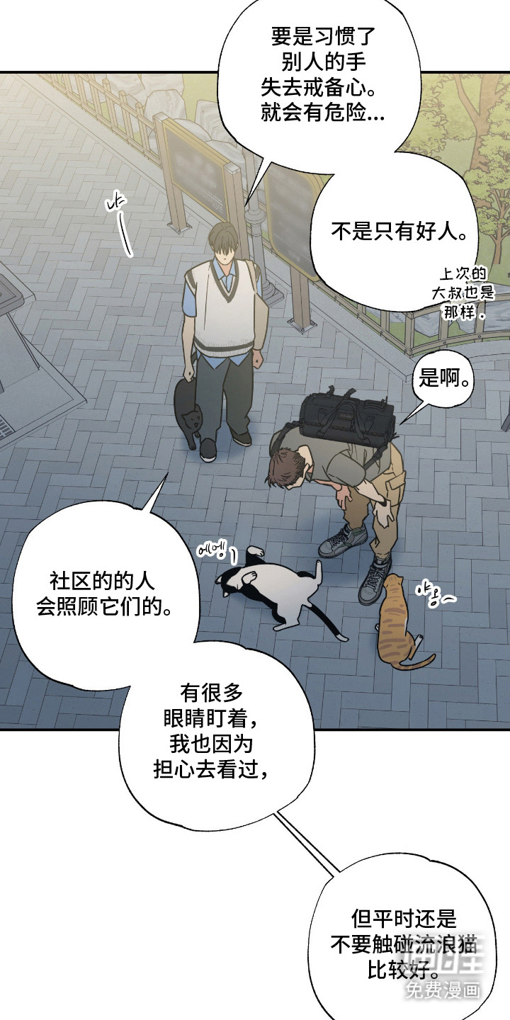 猫大爷和我漫画-图14