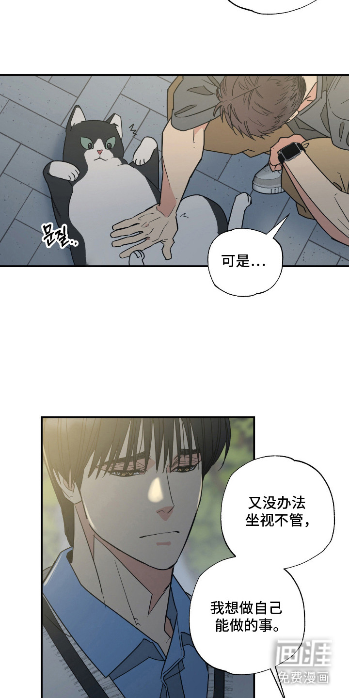 猫大爷和我漫画-图15