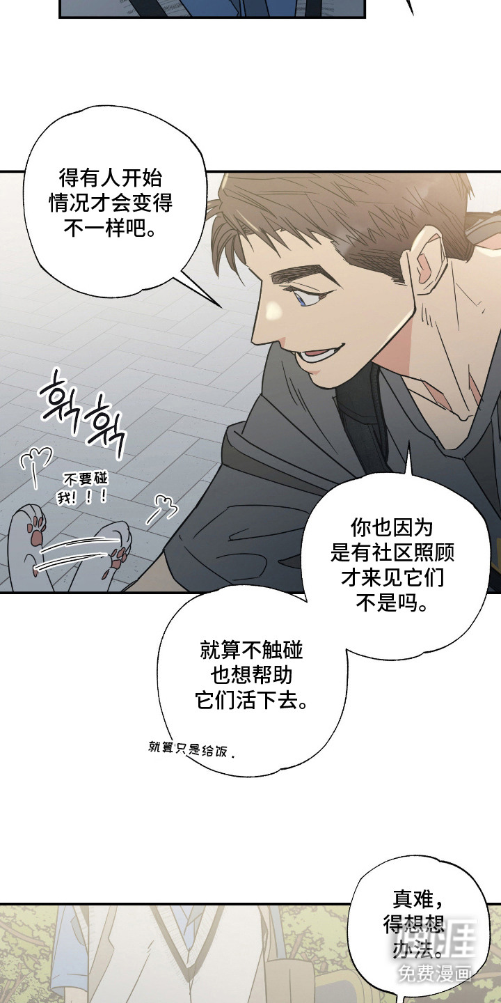猫大爷和我漫画-图16