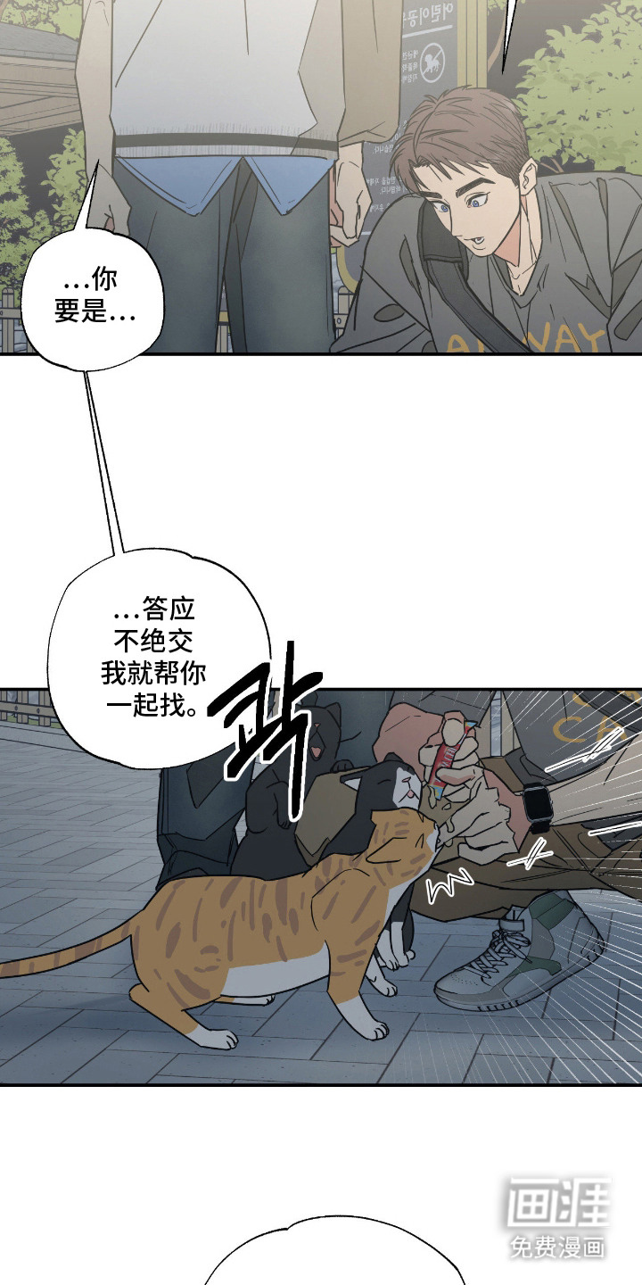 猫大爷和我漫画-图17