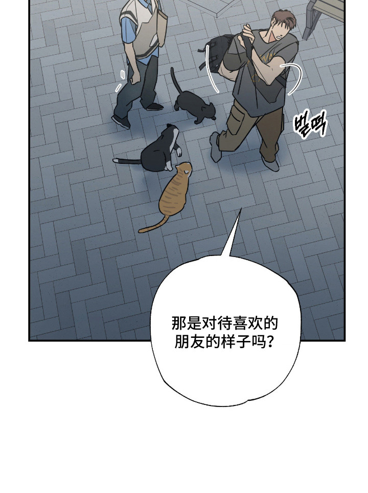 猫大爷和我漫画-图19