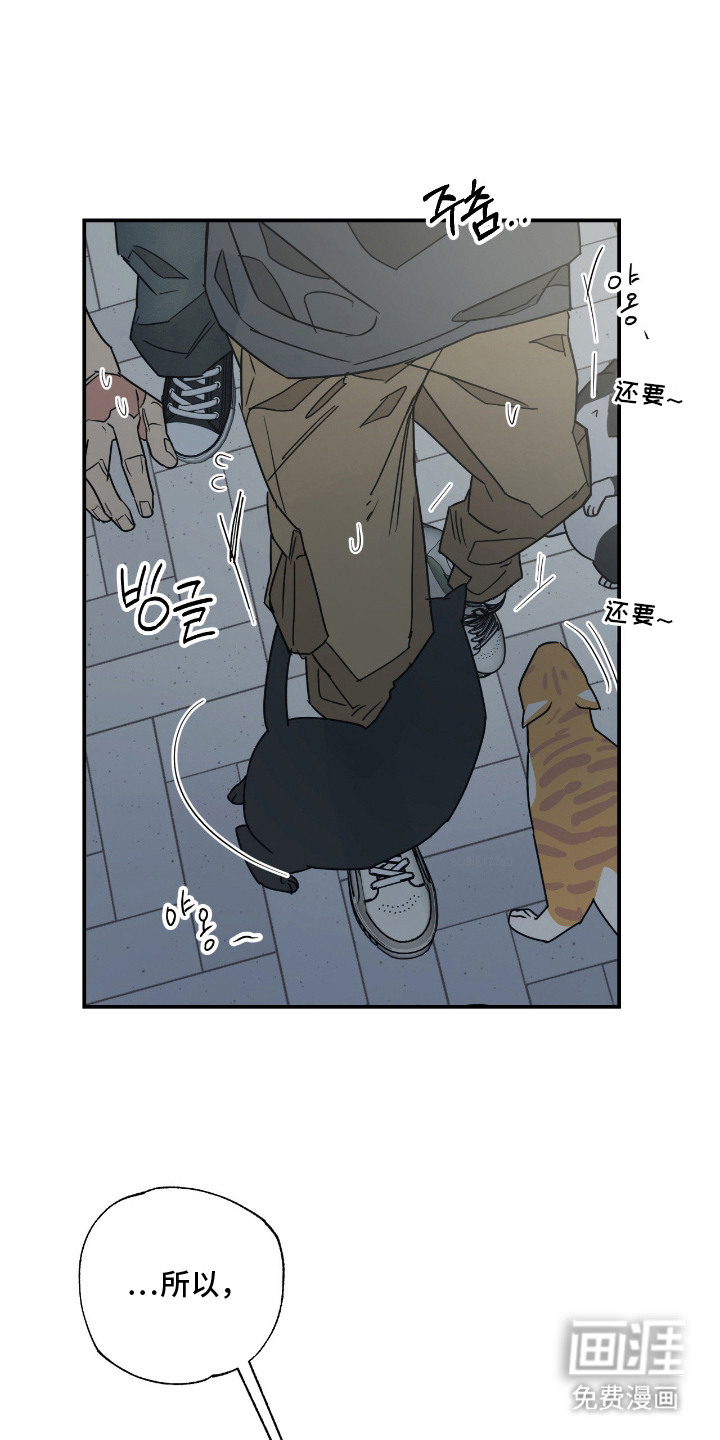 猫大爷和我漫画-图1