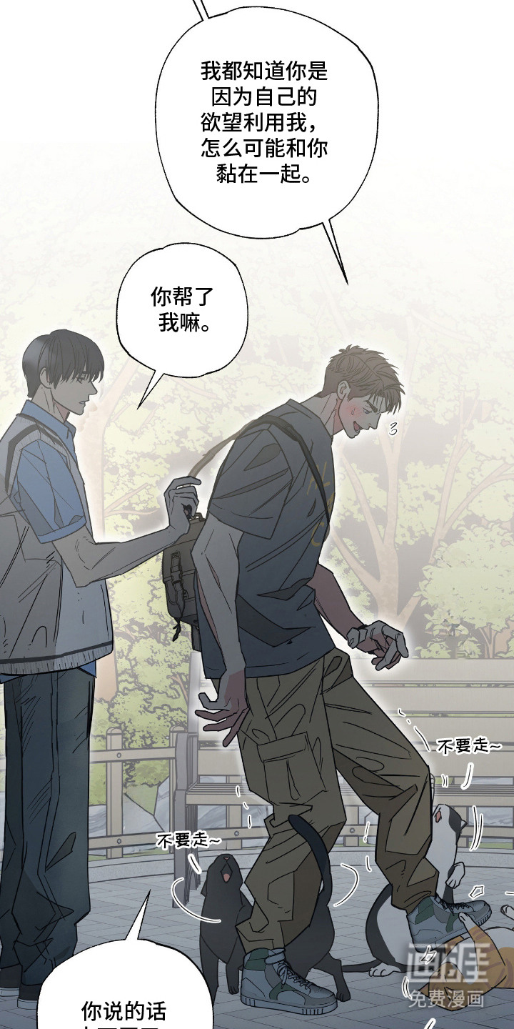 猫大爷和我漫画-图2