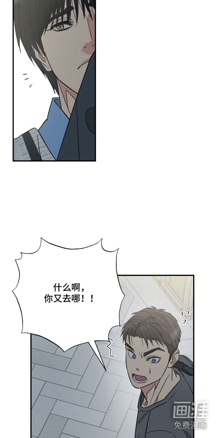 猫大爷和我漫画-图10
