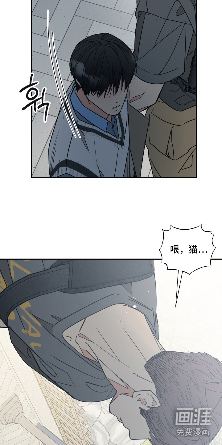猫大爷和我漫画-图11