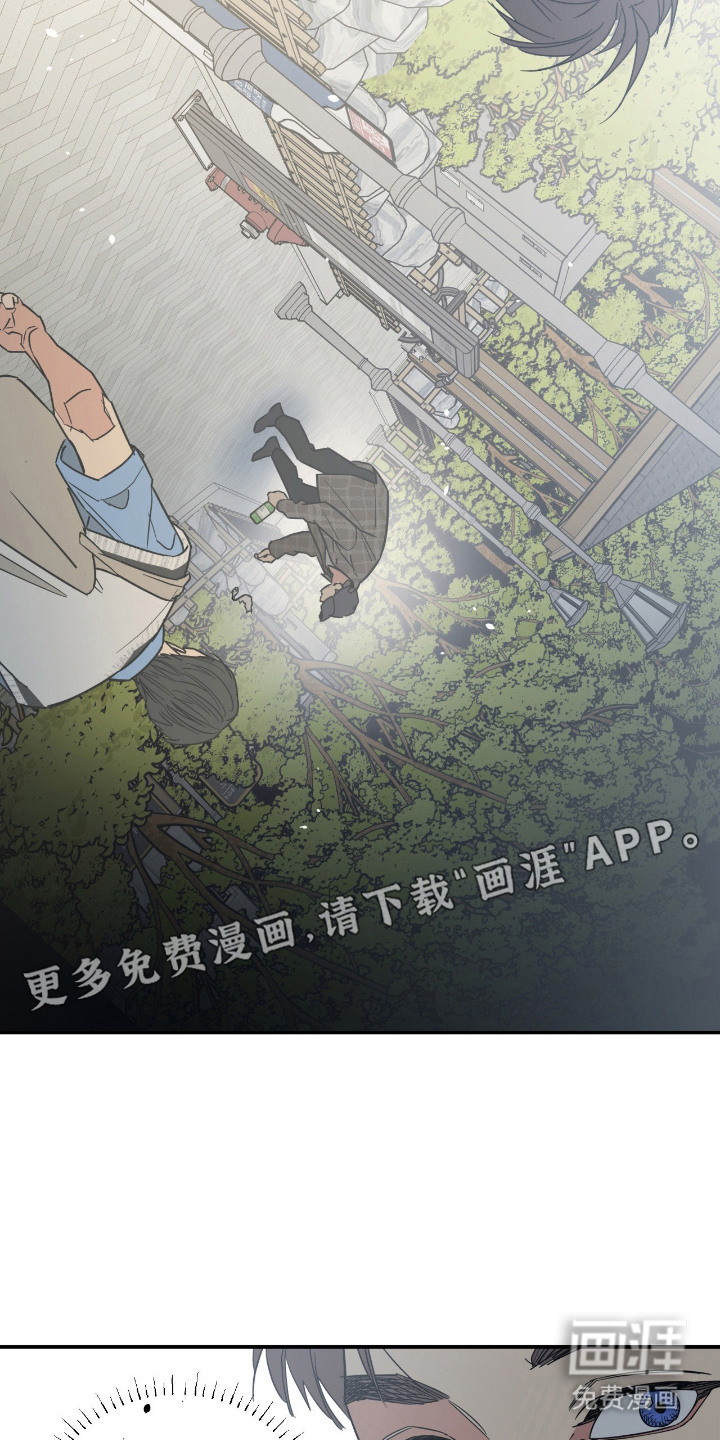 猫大爷和我漫画-图12