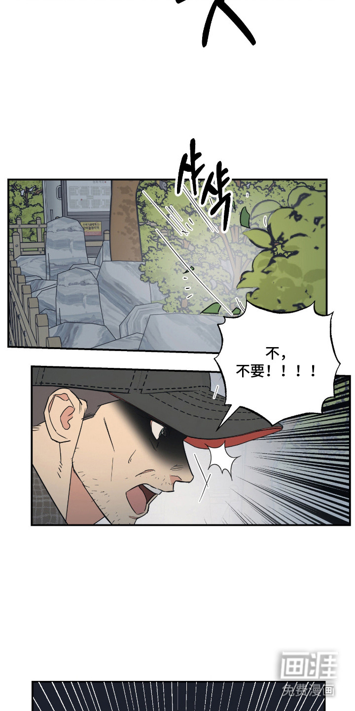 猫大爷和我漫画-图14