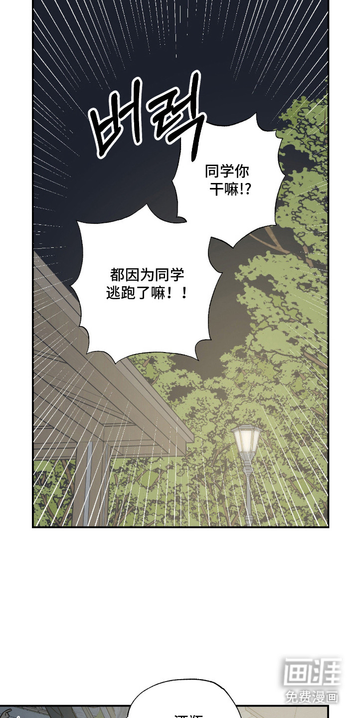 猫大爷和我漫画-图15