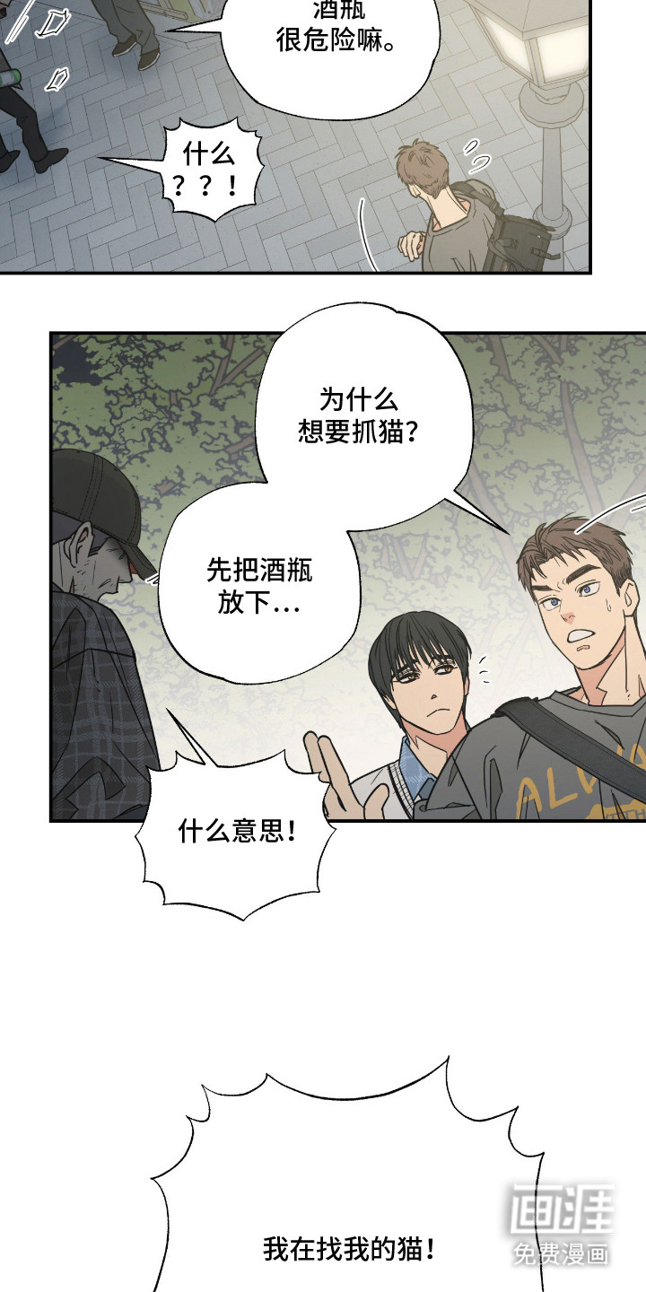 猫大爷和我漫画-图16