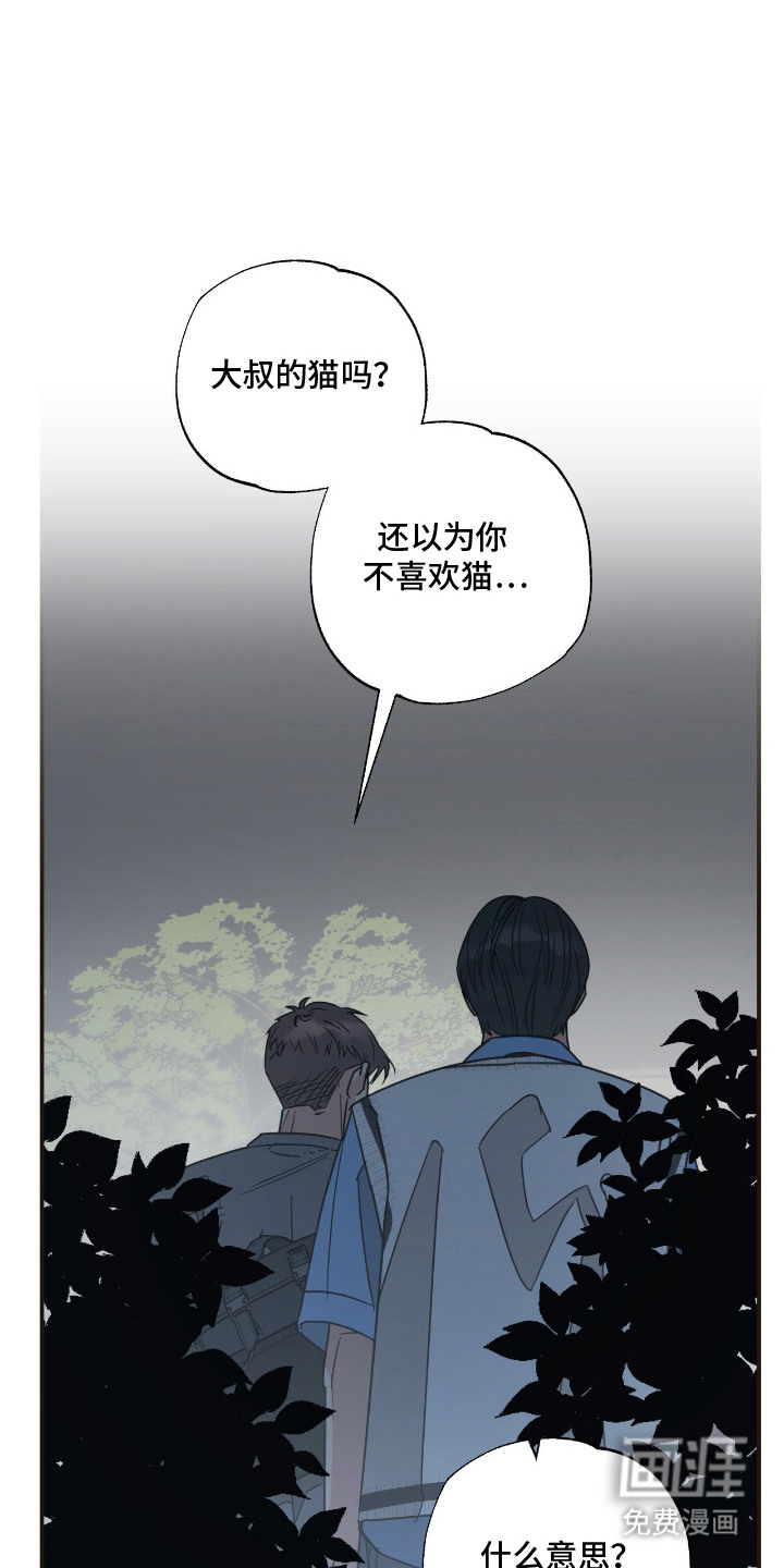 猫大爷和我漫画-图0