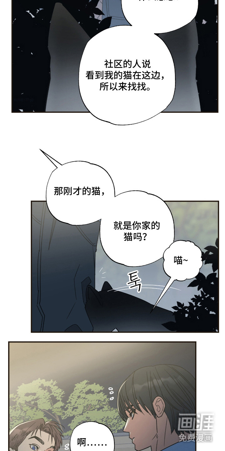 猫大爷和我漫画-图1