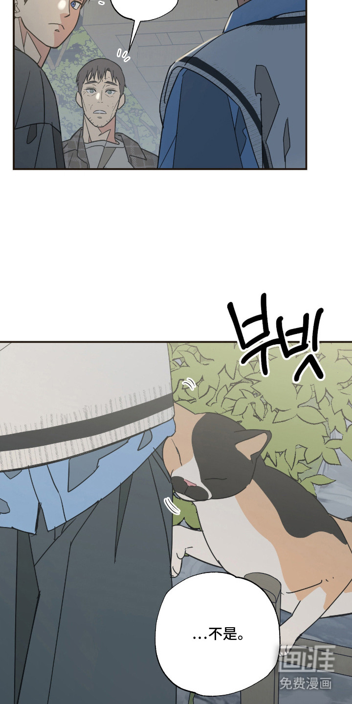 猫大爷和我漫画-图2