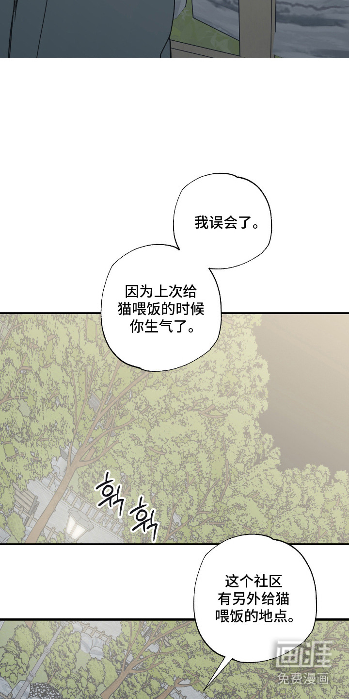 猫大爷和我漫画-图3
