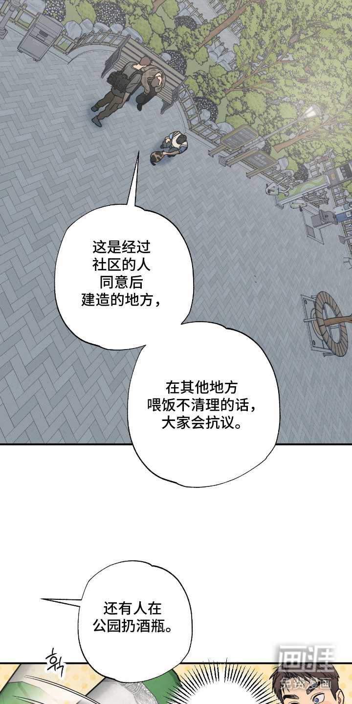 猫大爷和我漫画-图4