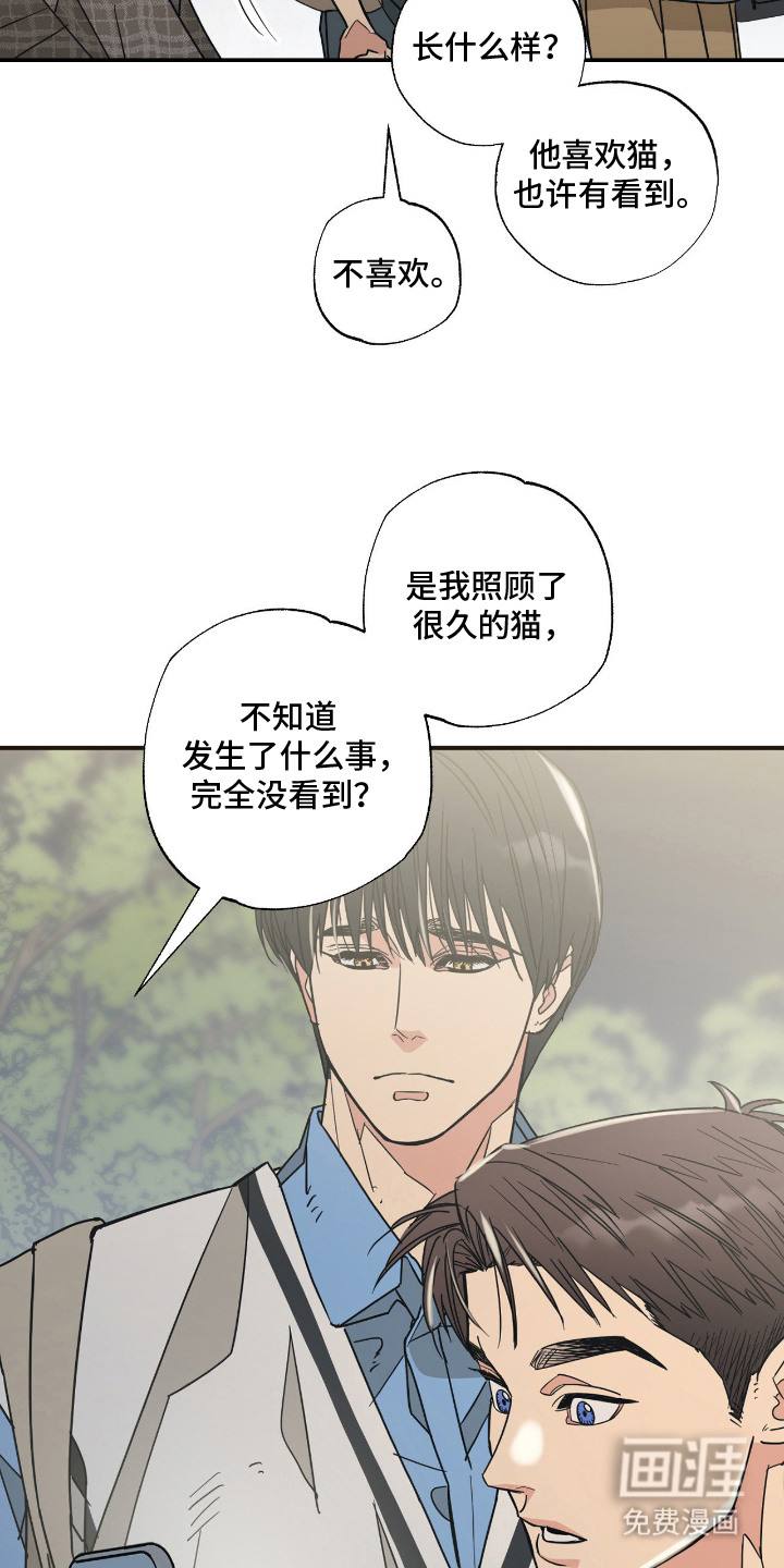 猫大爷和我漫画-图6