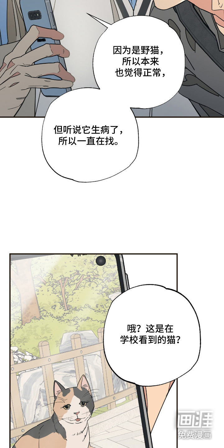 猫大爷和我漫画-图7
