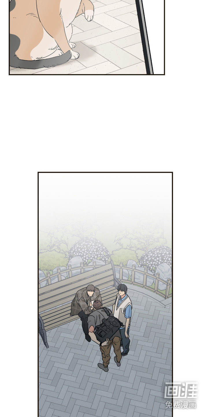 猫大爷和我漫画-图8