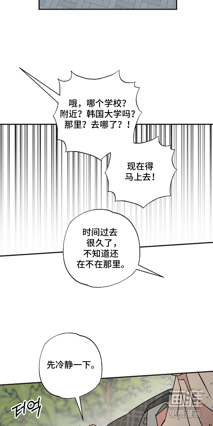 猫大爷和我漫画-图9