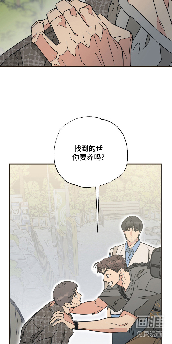 猫大爷和我漫画-图10