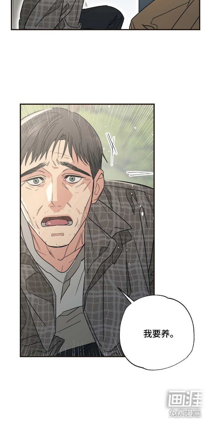 猫大爷和我漫画-图11