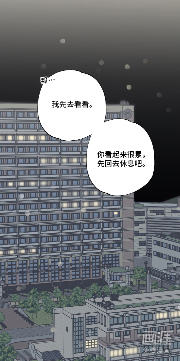 猫大爷和我漫画-图13