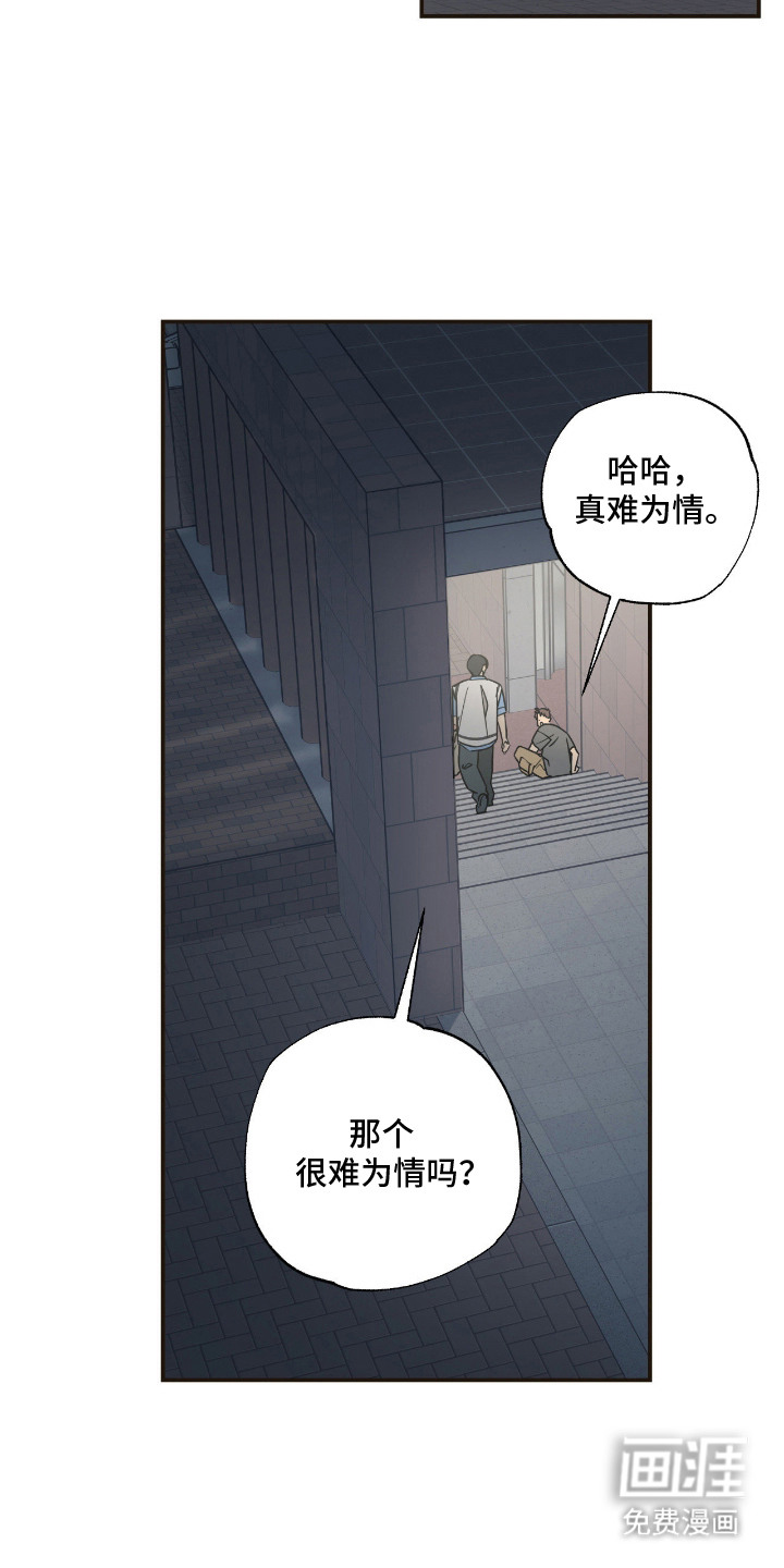 猫大爷和我漫画-图1