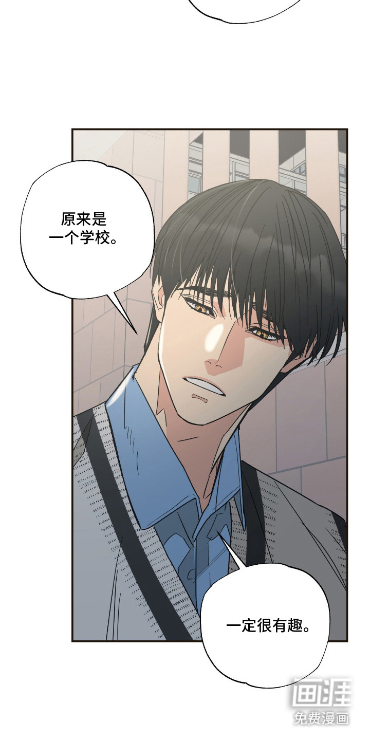 猫大爷和我漫画-图3