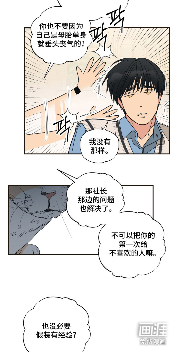 猫大爷和我漫画-图6
