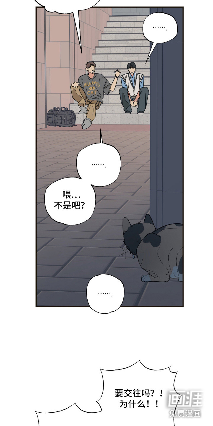 猫大爷和我漫画-图7