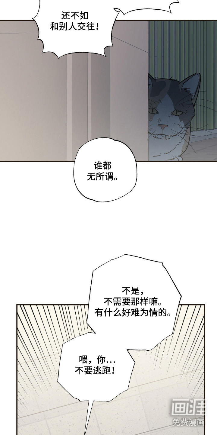 猫大爷和我漫画-图8