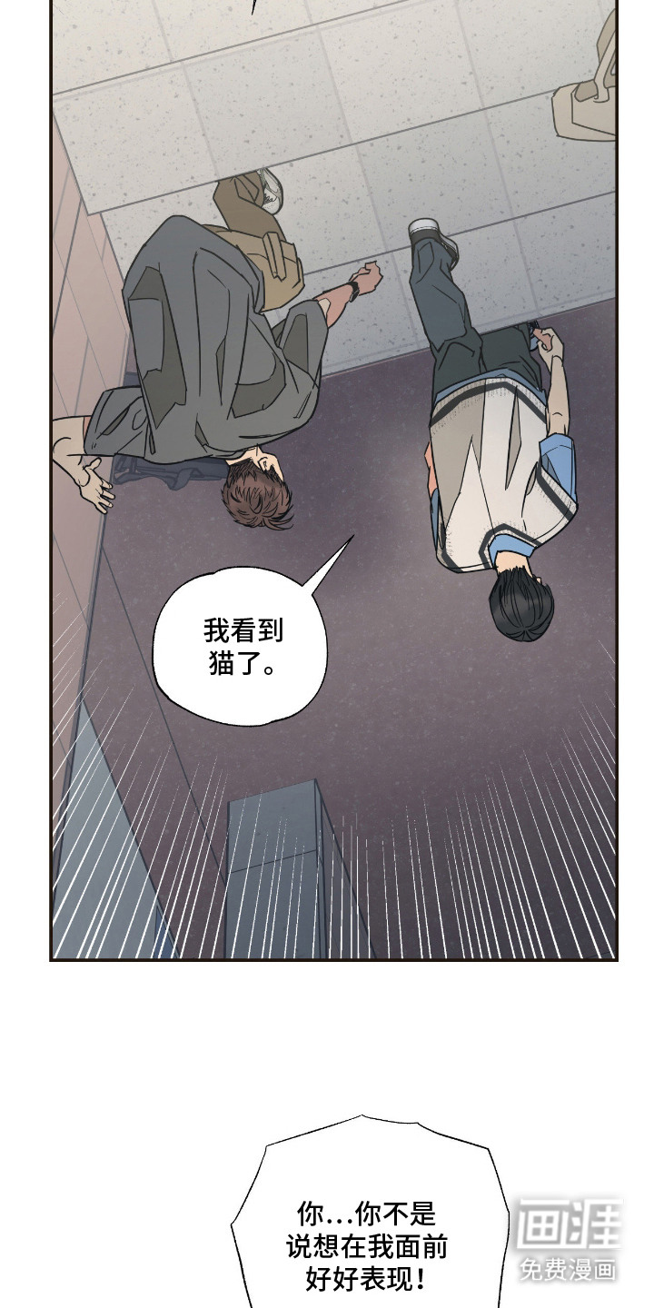 猫大爷和我漫画-图9