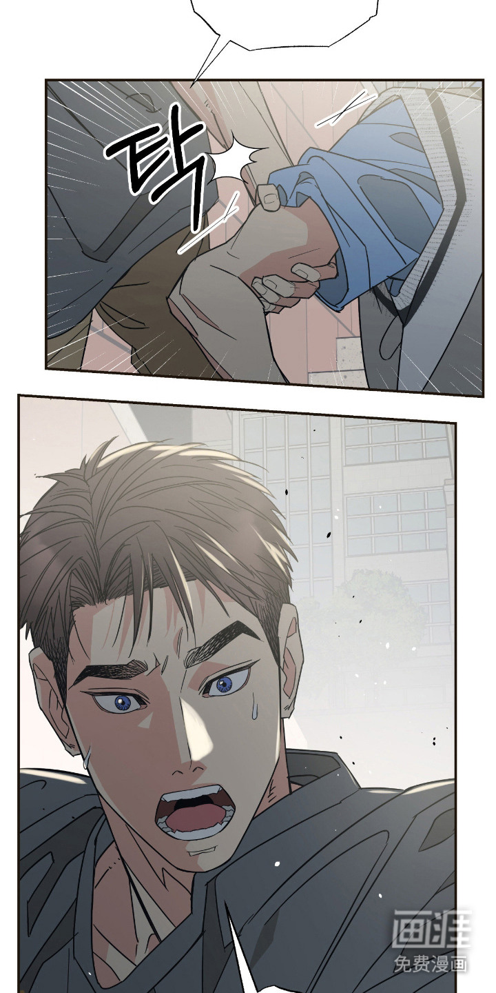 猫大爷和我漫画-图10