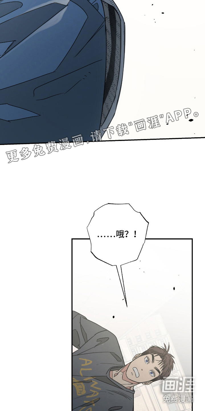 猫大爷和我漫画-图12
