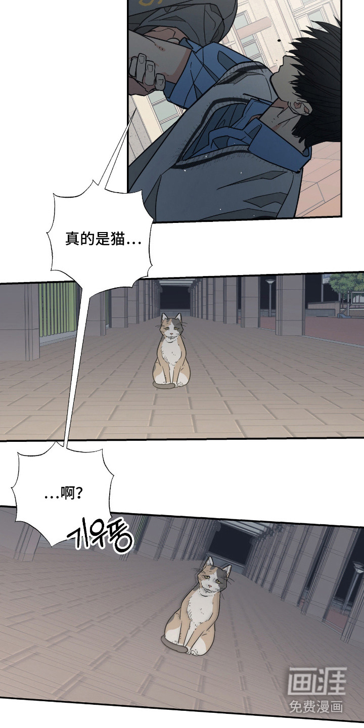 猫大爷和我漫画-图13