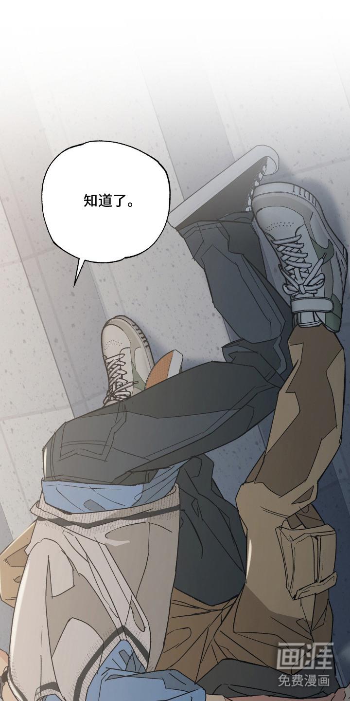 猫大爷和我漫画-图14