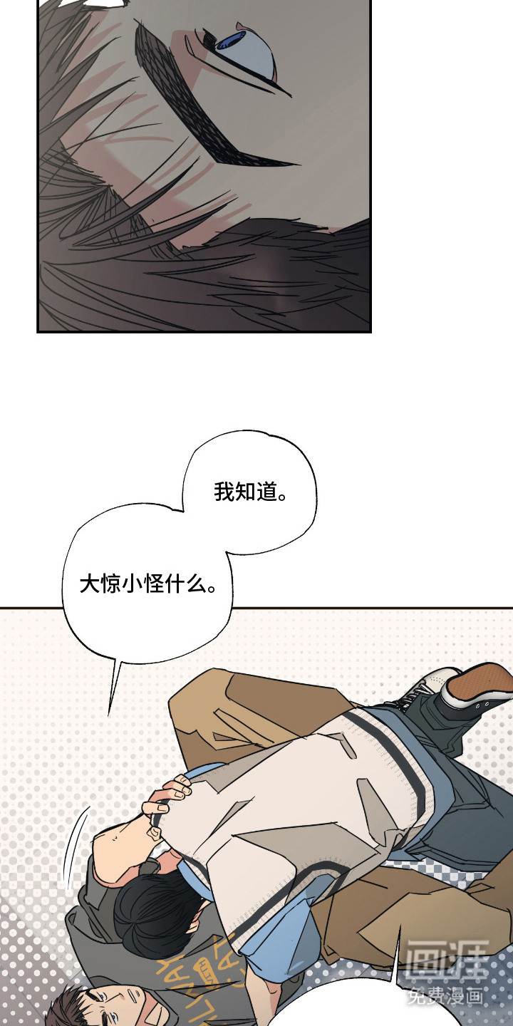 猫大爷和我漫画-图17
