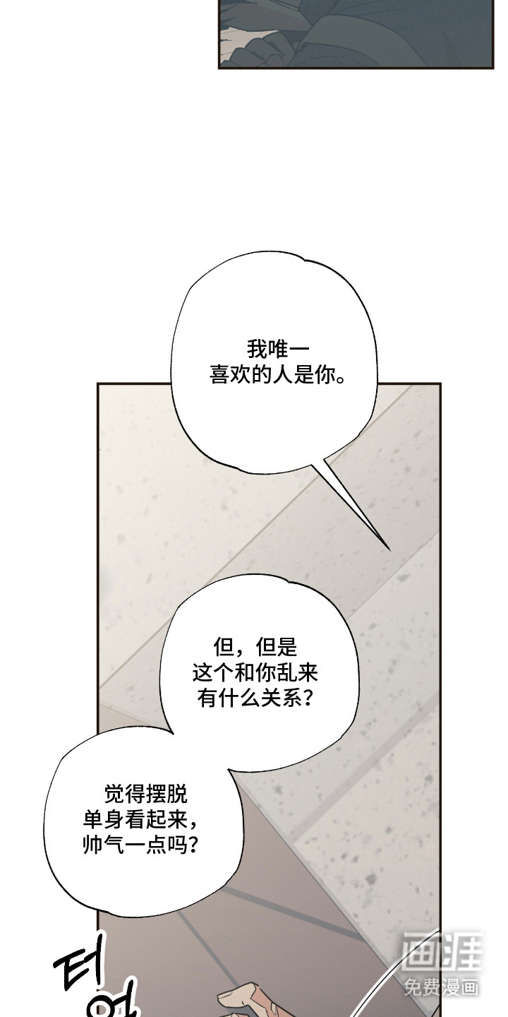猫大爷和我漫画-图19