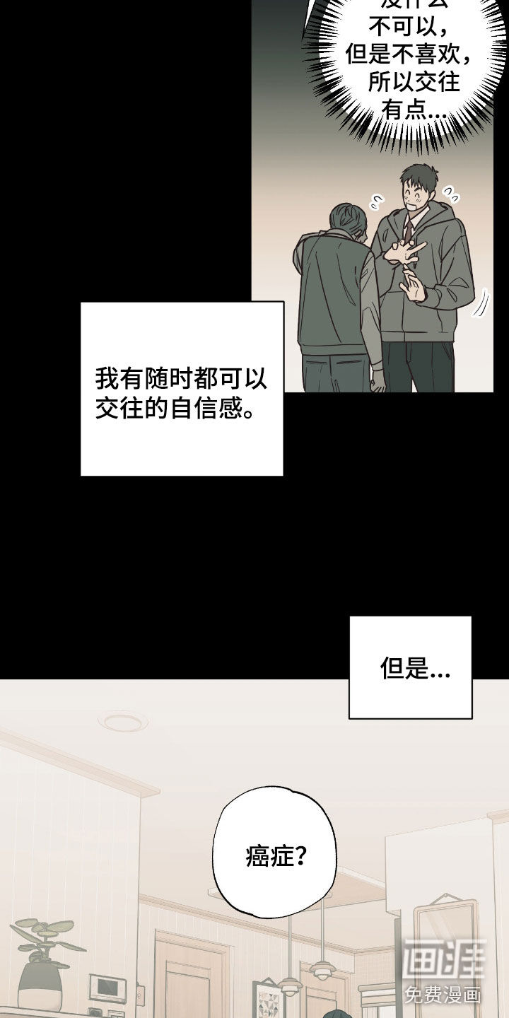 猫大爷和我漫画-图3