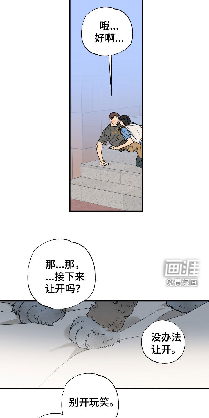 猫大爷和我漫画-图18