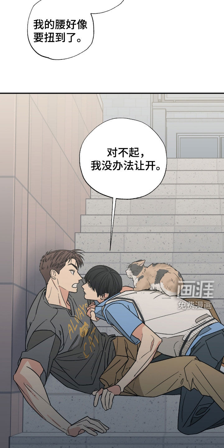 猫大爷和我漫画-图19