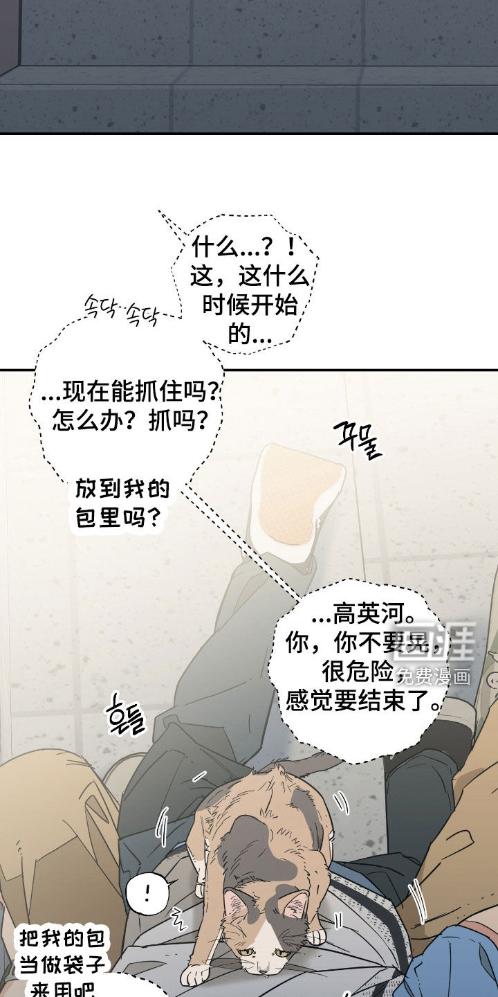 猫大爷和我漫画-图20