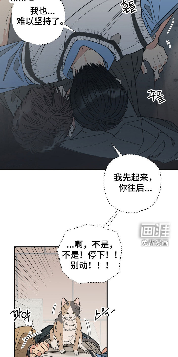 猫大爷和我漫画-图21