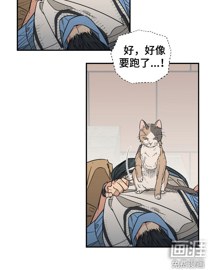 猫大爷和我漫画-图22