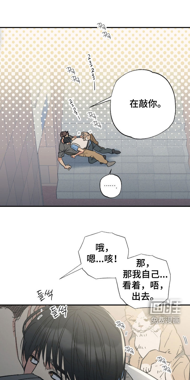 猫大爷和我第16话第1页