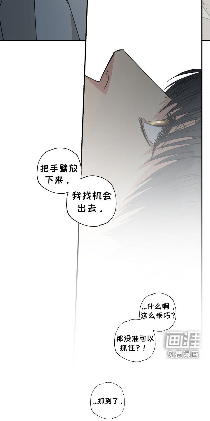 猫大爷和我漫画-图3