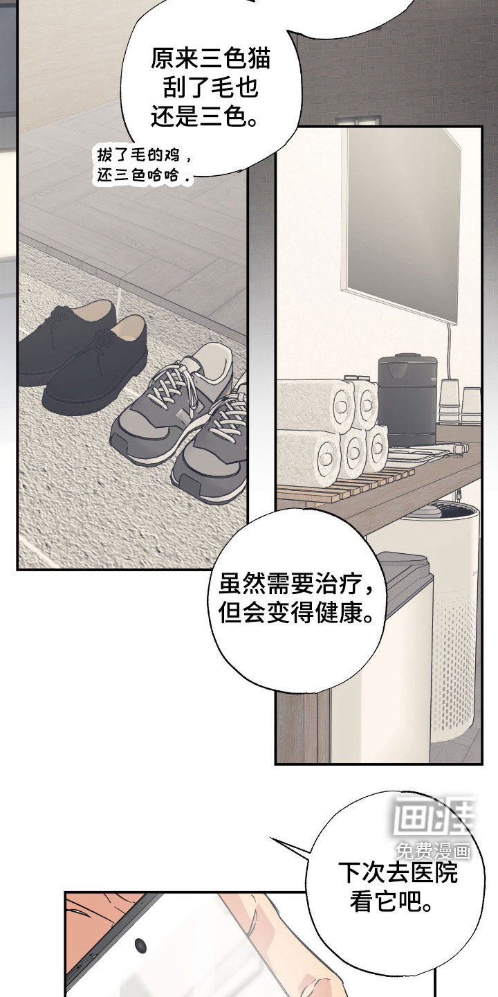 猫大爷和我漫画-图5